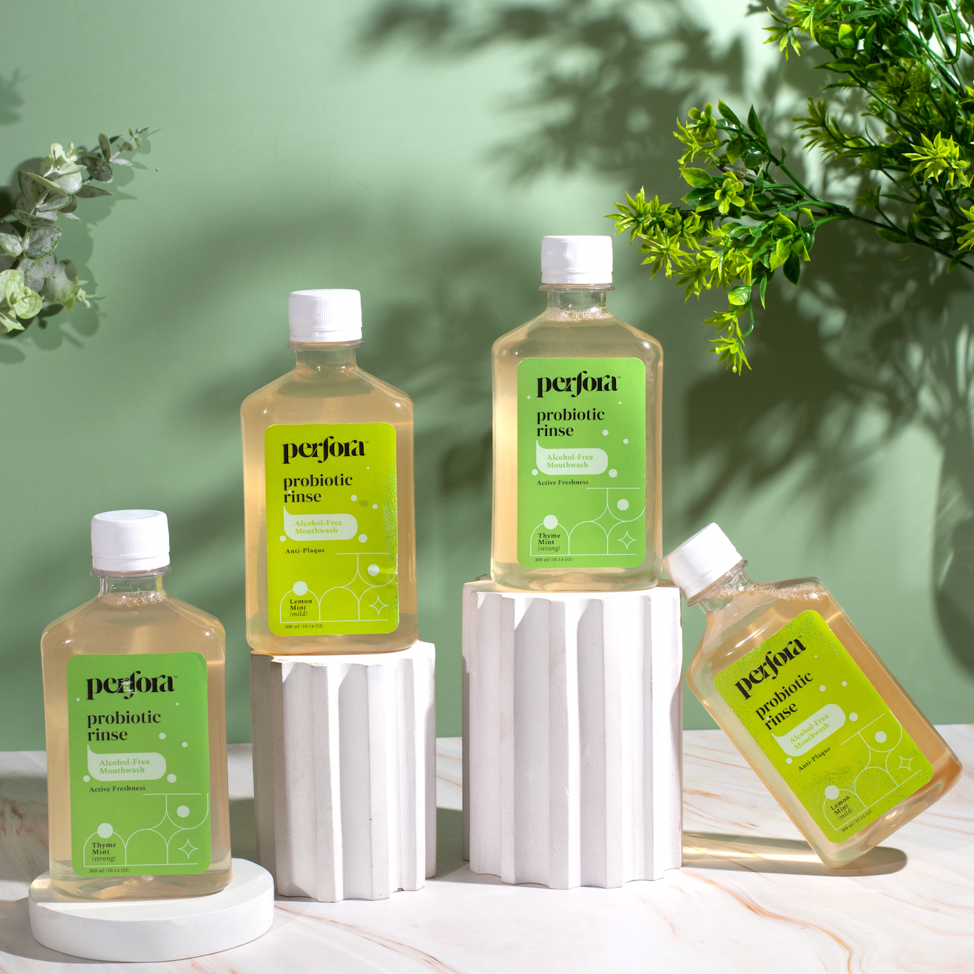 The Rinse Starter Routine - Combos