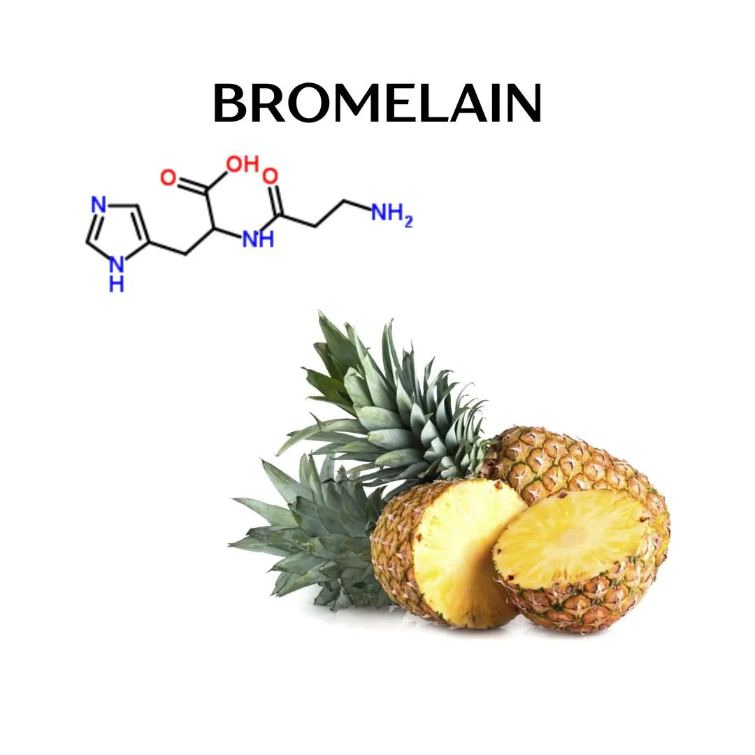 What is Bromelain and What it is Used for? – Perfora - Oral Care Solutions