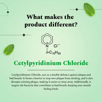 Image highlighting what makes Perfora's flouride range Classic Mint toothpaste different.