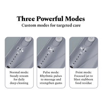 Power Dental Flosser - Sterling Grey