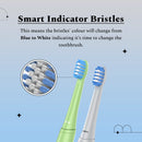 Limited Edition: Electric Toothbrush Model 004 - Chargeable