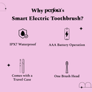 Frosty Delight - Electric Toothbrush with Travel Case
