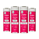 Perfora X GudGum Watermelon Chewing Gum