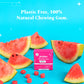 Plastic Free Chewing Gum - Watermelon