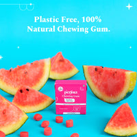 Perfora x Gud Gum - Plastic Free Chewing Gum - Watermelon