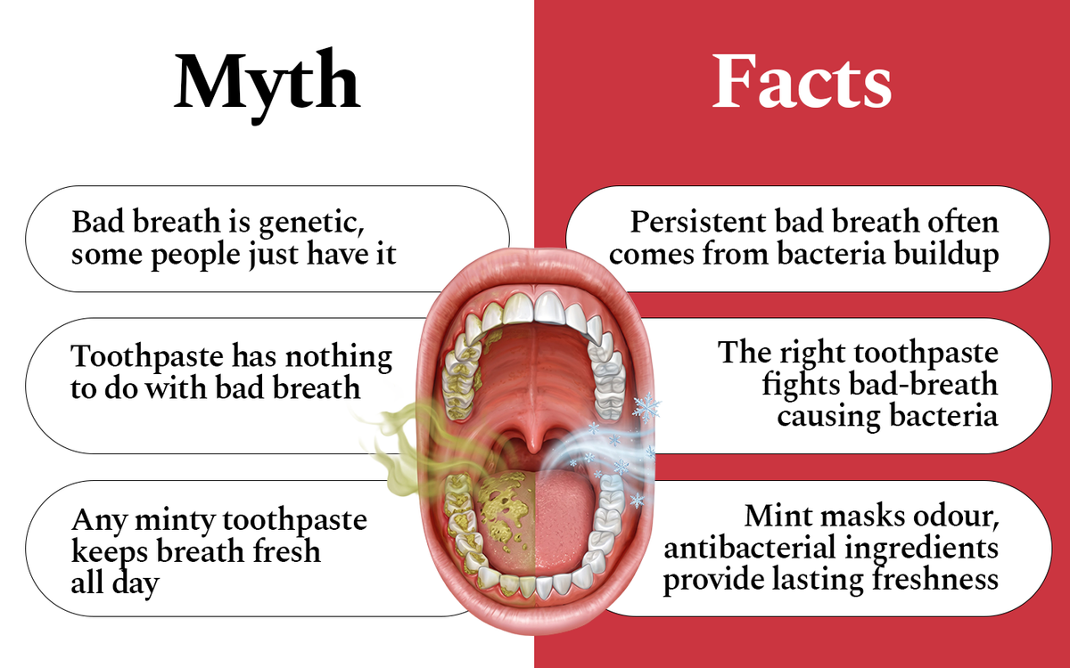 Myth vs Fact: bad breath is not genetic - it usually comes from bacteria buildup; toothpaste does affect bad breath when it fights the bacteria causing it; and mint only masks odour, while antibacterial ingredients provide lasting freshness.